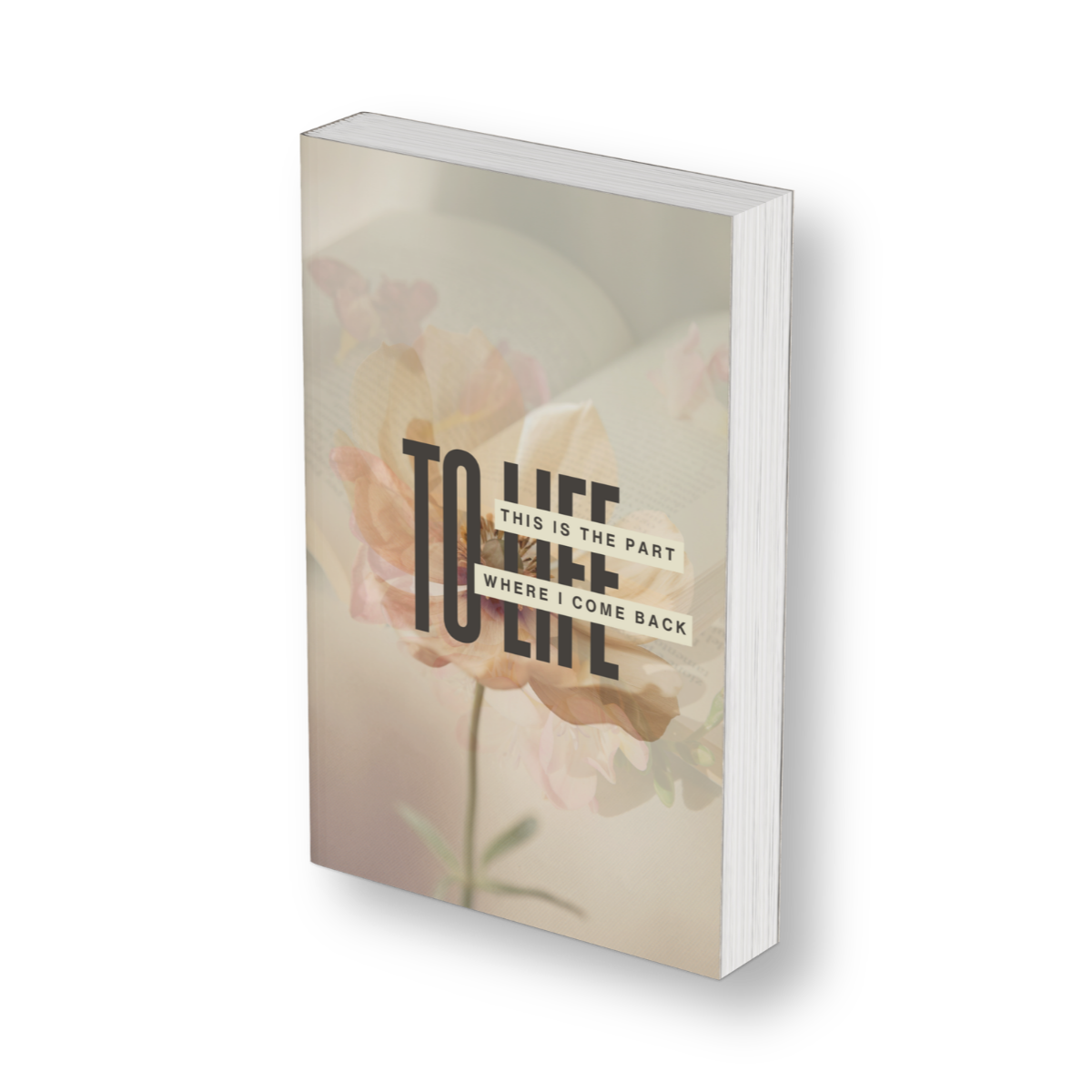 The Journey Back To Me Bundle